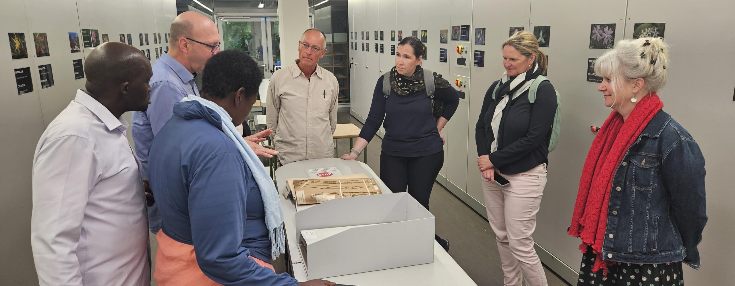 Traditional Medicine in Transition